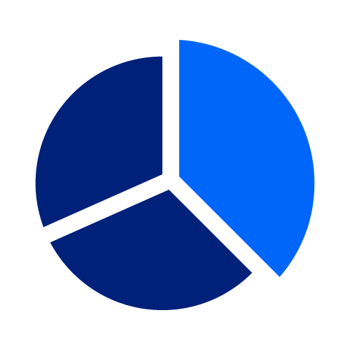 pie chart icon